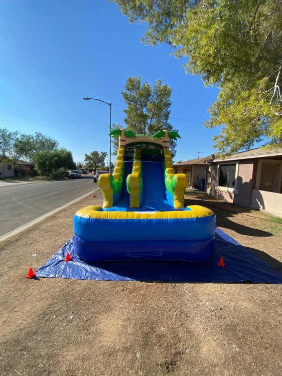 14FT Tropical Water Slide