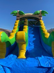 IMG 20250714 WA0001 1752524031 14FT Tropical Water Slide