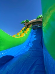 IMG 20250714 WA0003 1752524031 14FT Tropical Water Slide
