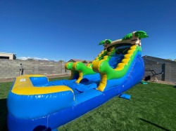 14FT Tropical Water Slide